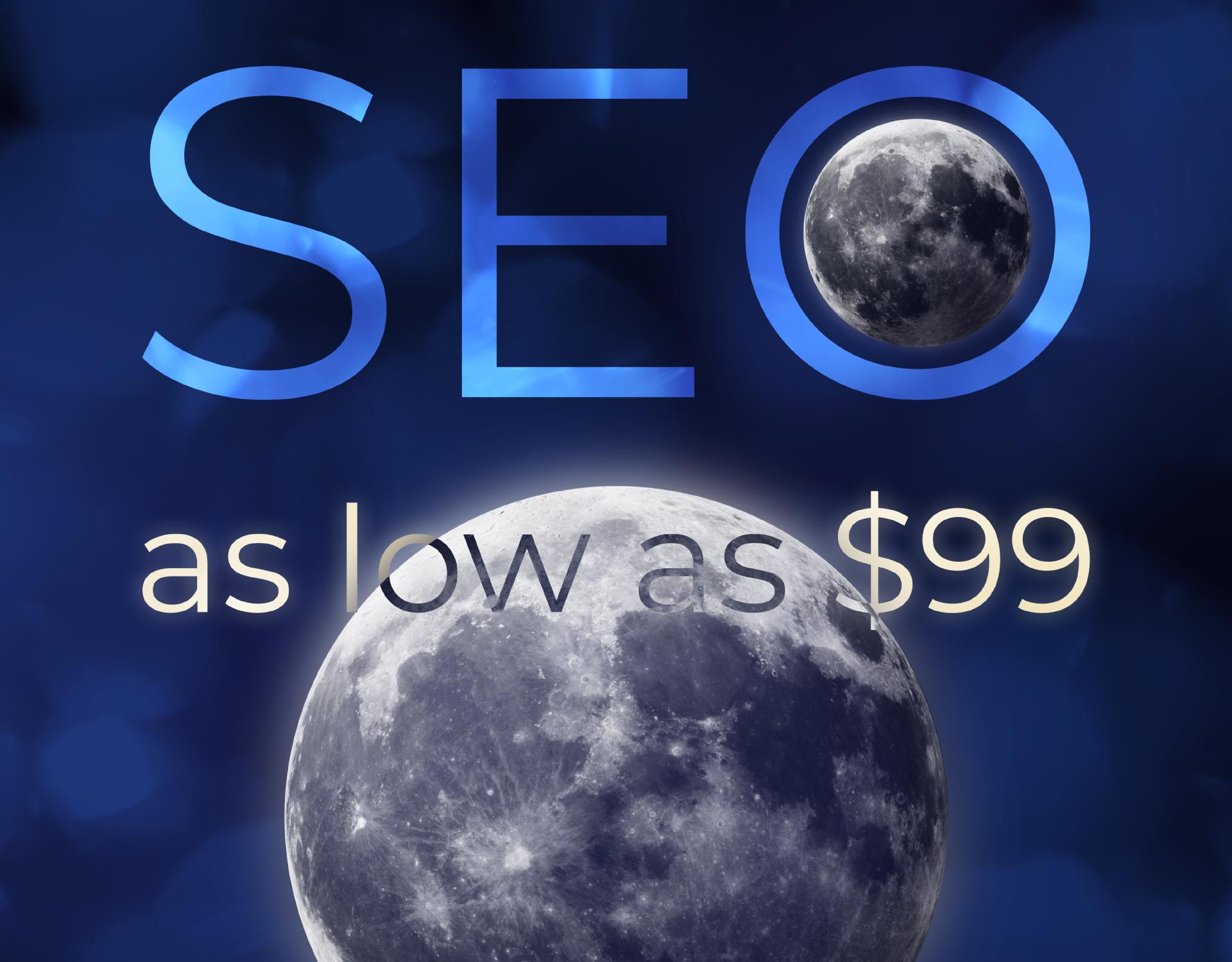 SEO as low as $99
